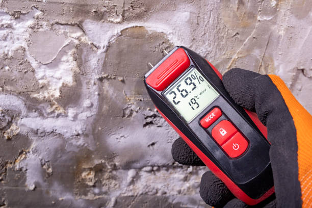 Best Commercial Mold Remediation in Sugar Land, TX