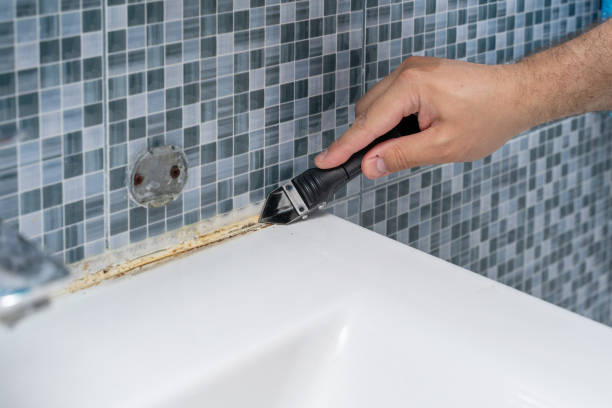 Best Commercial Mold Remediation in Sugar Land, TX