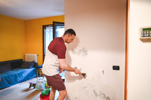 Sugar Land, TX Mold Remediation Company