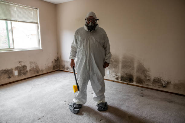 Best Post-Flood Mold Remediation in Sugar Land, TX
